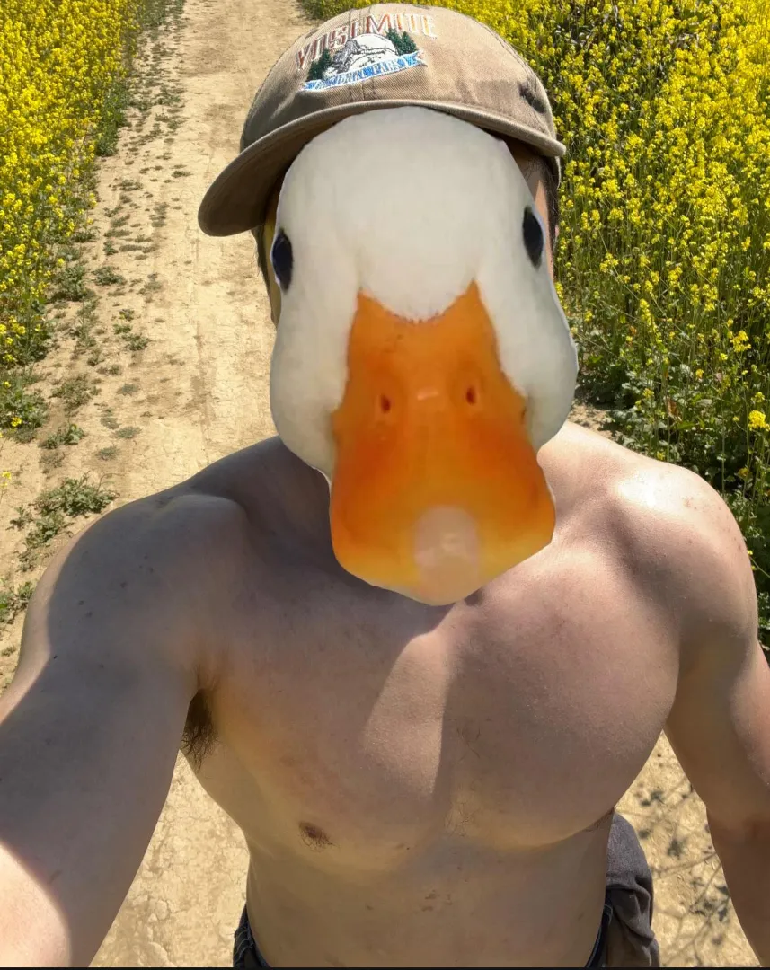 28 [M4F] #Waikiki - Virgin looking to practice oral or have you sit on my face posted by Jolly_Shelter2024