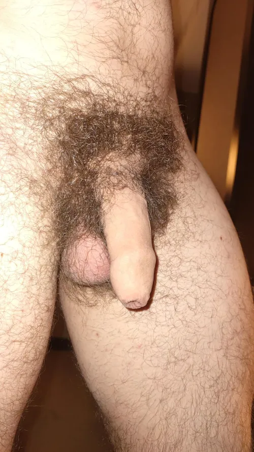28 / pubes is important haha what do you think about my penis ? by Nakedfrboy