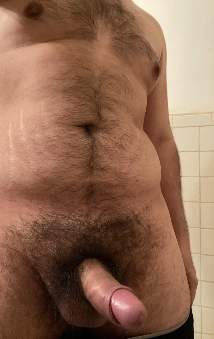 [28] Top looking to breed . Hosting southeast area posted by Ok_Charity_478