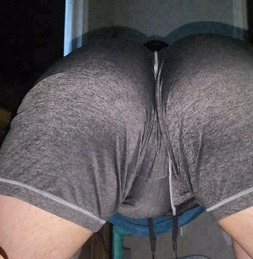 29 sissy near the border posted by Illustrious_Dig_8123