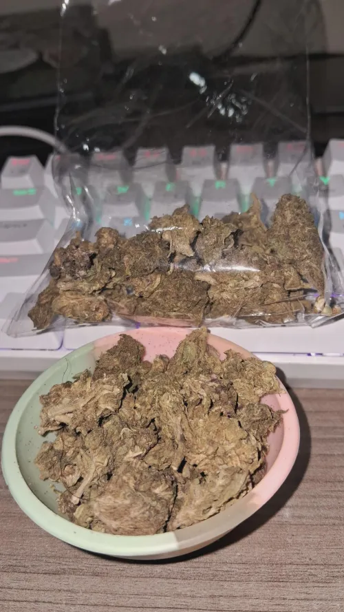 3 reais a g da flor by fvckbroraffa