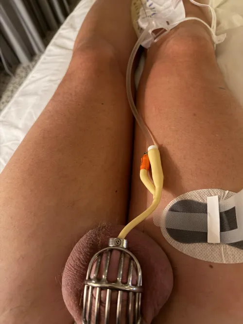 30 days cath’d by isitjenagain