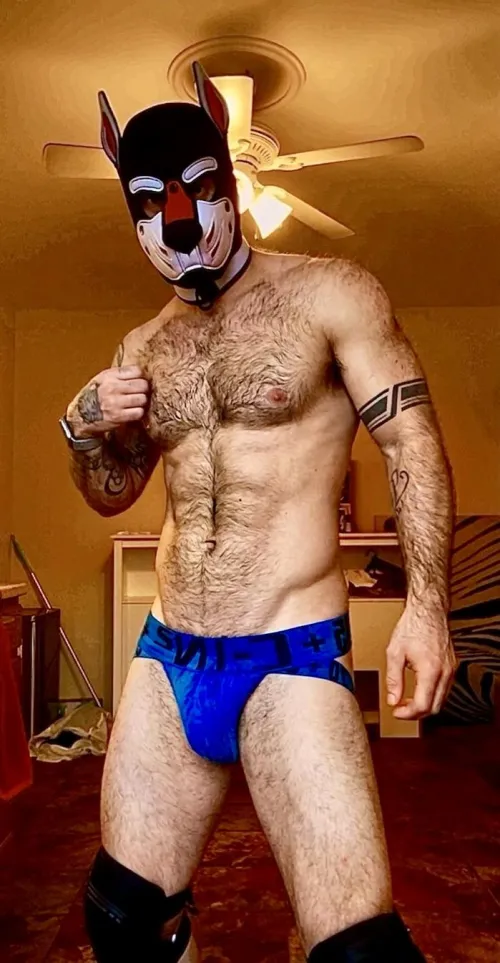 (30) Good Boy - OC by JakeSnowbe