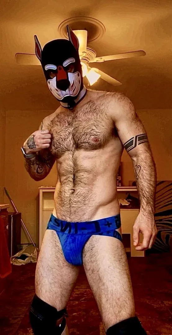 (30) Good Pup - OC posted by JakeSnowbe