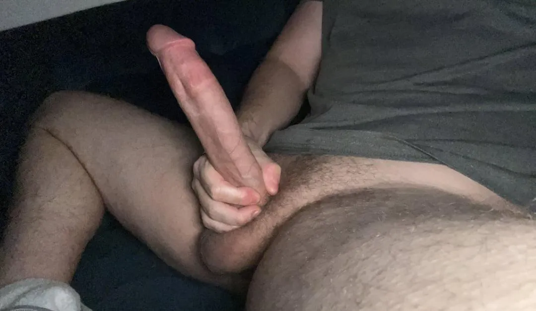 [30] [M4MF] Charlotte NC - Bull looking for new couples and new experiences posted by Outrageous_Rip1252