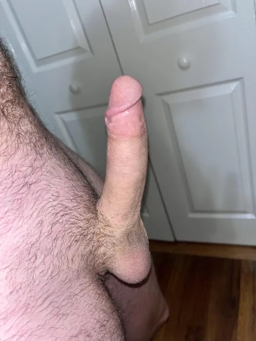 30. Standing straight up ready for attention by vandalayinsustries