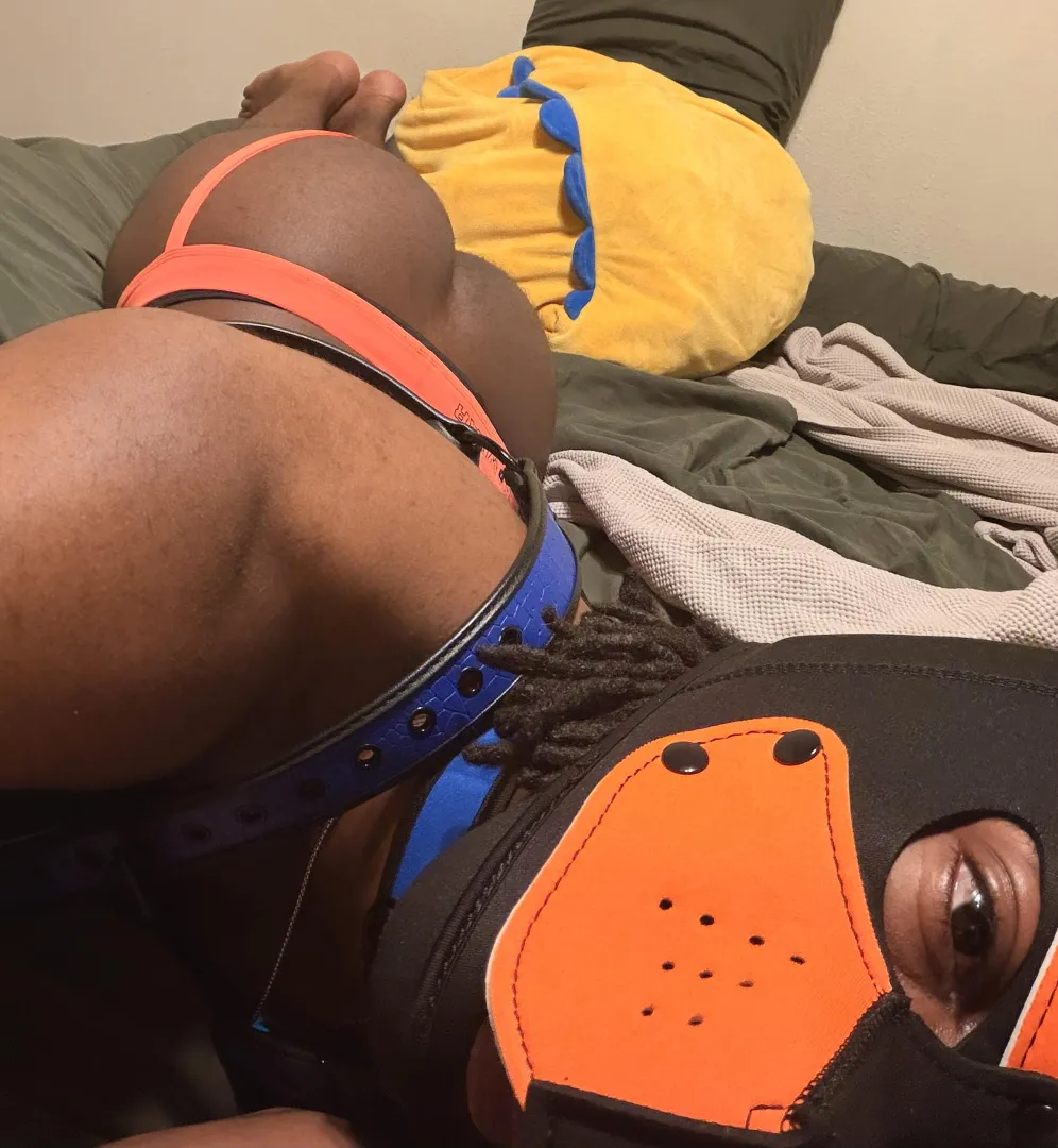 (30M) Lil Pup spending the day in LittleSpace with my favorite stuffie!  ‍ posted by MyOwnLittleBiome