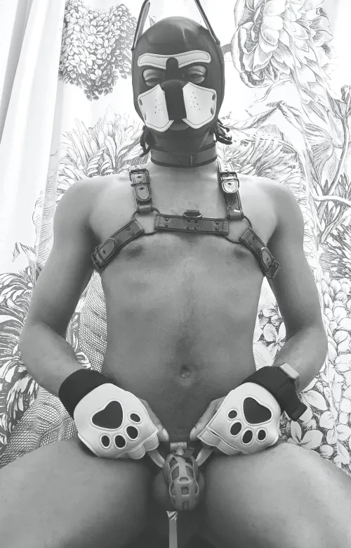 (30M) On display for my superiors  by MyOwnLittleBiome