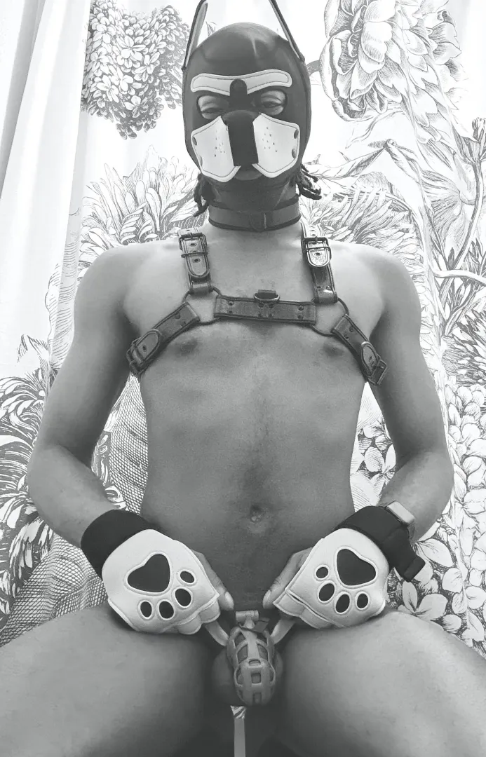 (30M) On display for my superiors  posted by MyOwnLittleBiome