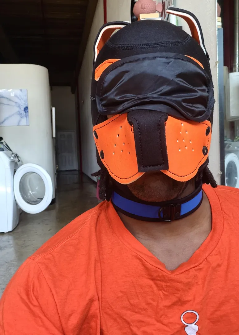 (30M) Pup-A-Boo  posted by MyOwnLittleBiome