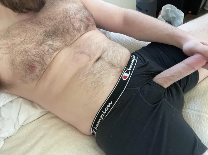 31 bi of older masc/hairy stroke bud this morning, dm for telegram by StrictOffline