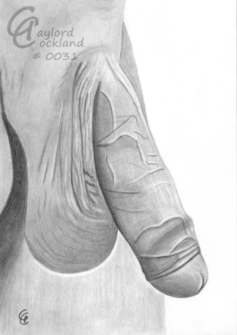 (#31) flaccid dick with half open forreskin, drawn by me posted by idffipff