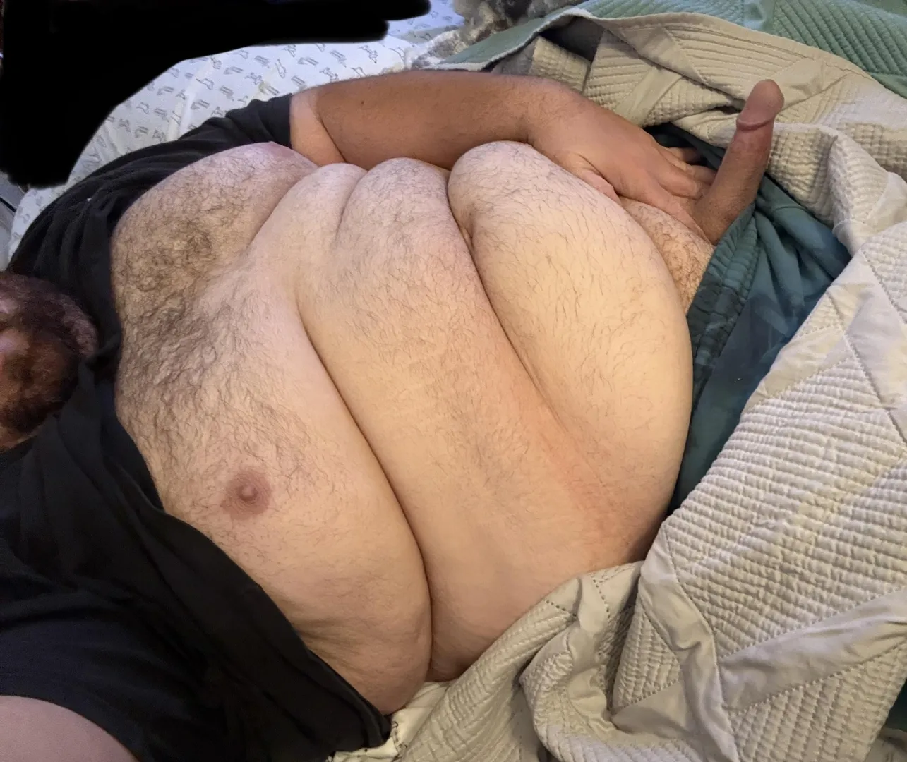 32 (location) CA- Let me breed you posted by Fun-Bet-3203