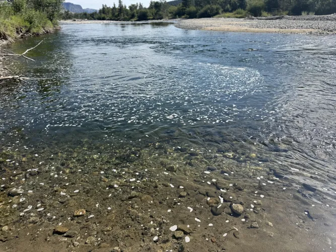 32 M4F Shelby - looking for fun by Best_Carob_3462