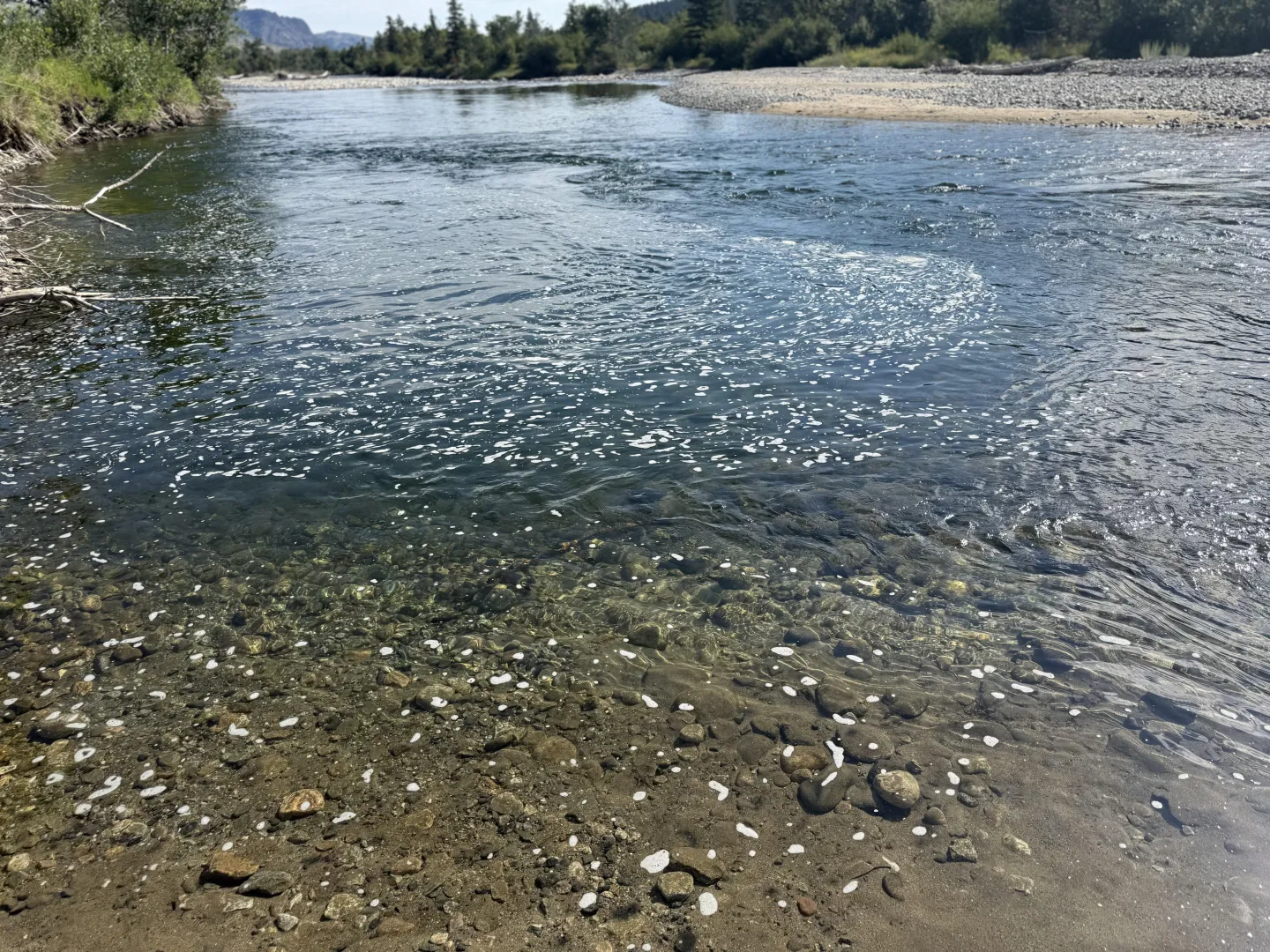 32 M4F Shelby - looking for fun posted by Best_Carob_3462