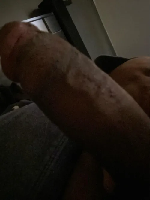 33 bbc bull Saginaw any couples looking today ? I can host or travel !!! by saginawbbcc