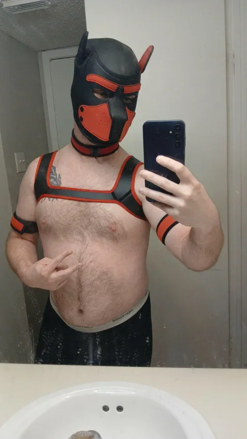 33 Bi; new to pup play...any advice would be appreciated by Decent_Human3457