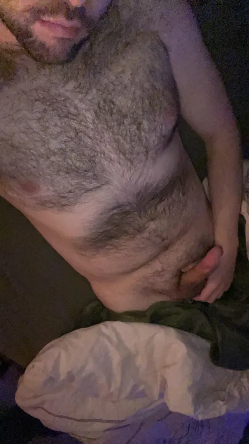 33 m bear usa for verbal 21+ twinks who show face on sc. add loum42069 by Potential_Hat_3891