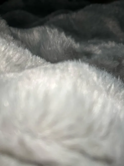 33 W Houston, looking for a bro to chat with who maybe wants to get off with each other. by Objective_Tree_8557