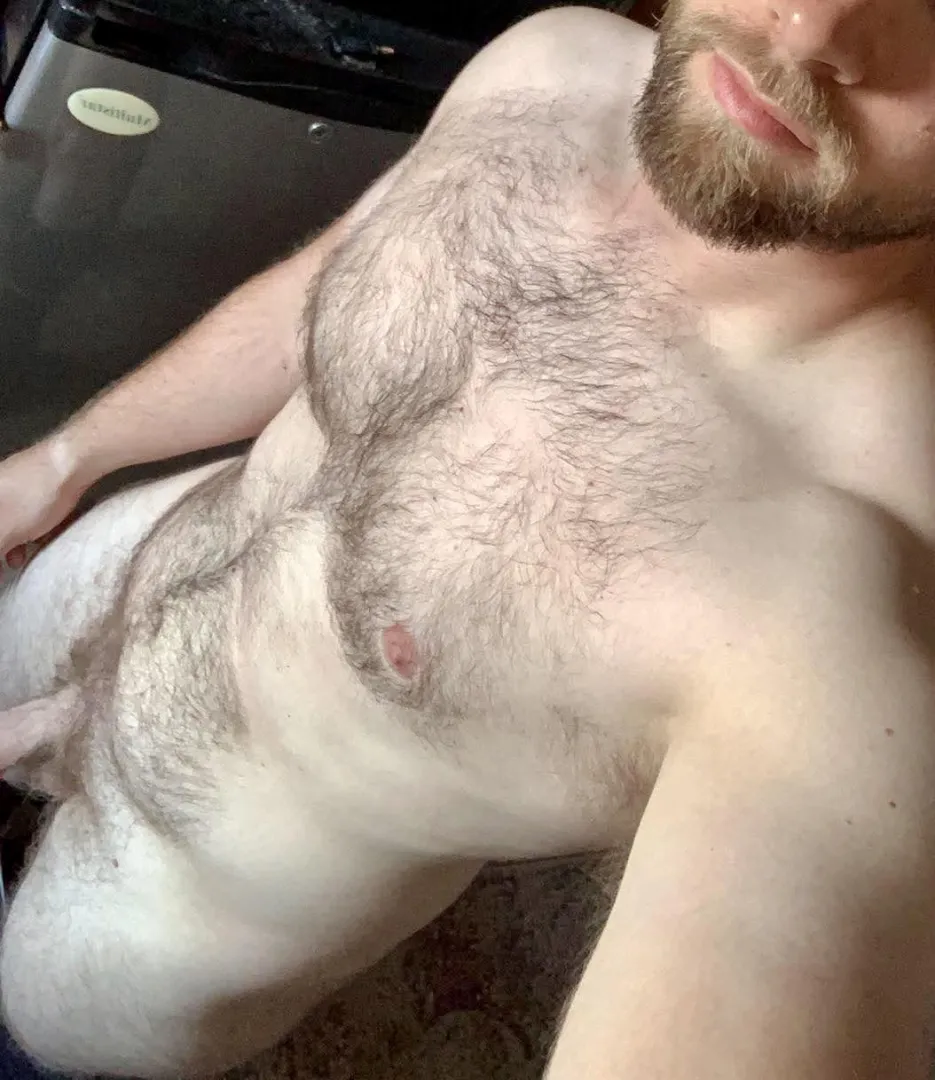 [33] posted by Artistic-System7186