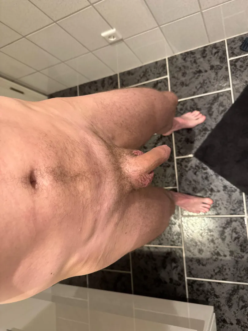 [33] wer möchte ihn? posted by RadiantOlive2035