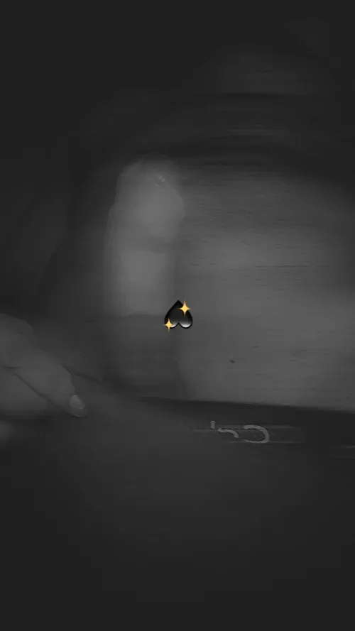 33m bull for discreet service . Woman only by Desperate_Bench1360