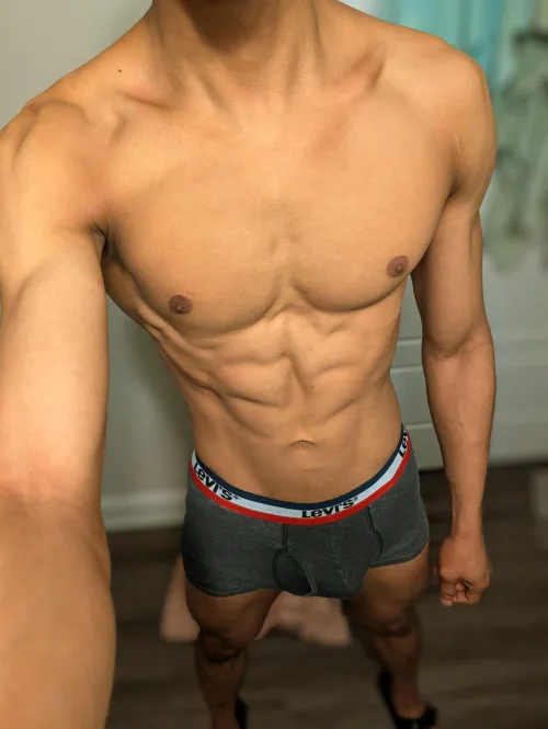 33m4f athletic bull by Zealousideal-Web4838