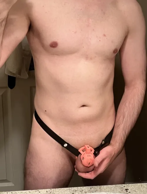 34 [m4m] caged sub looking for tops to use me  by PNWgay29