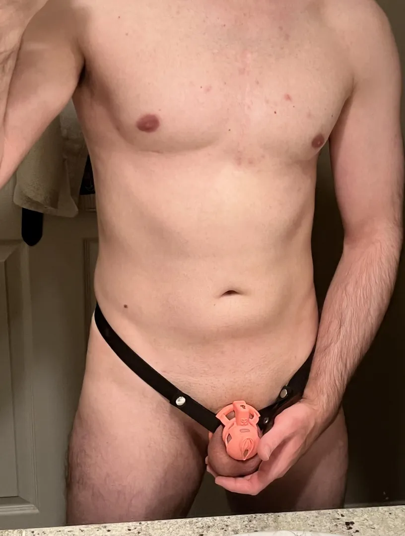 34 [m4m] caged sub looking for tops to use me  posted by PNWgay29