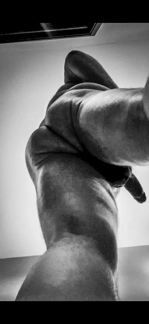 36 DL Kinky Bear ISO Fellow Kinkster posted by Bi_TX_Kinky_DL_Bear