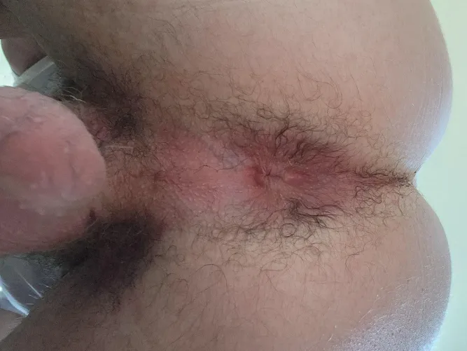 [36] Fresh out of the shower pink butthole for you to fall in love with by ImpossibleFlatworm70