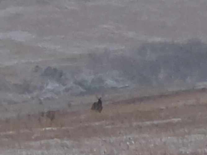 36 M4F Great Falls - Bored with things at home by ConsequenceKey7694