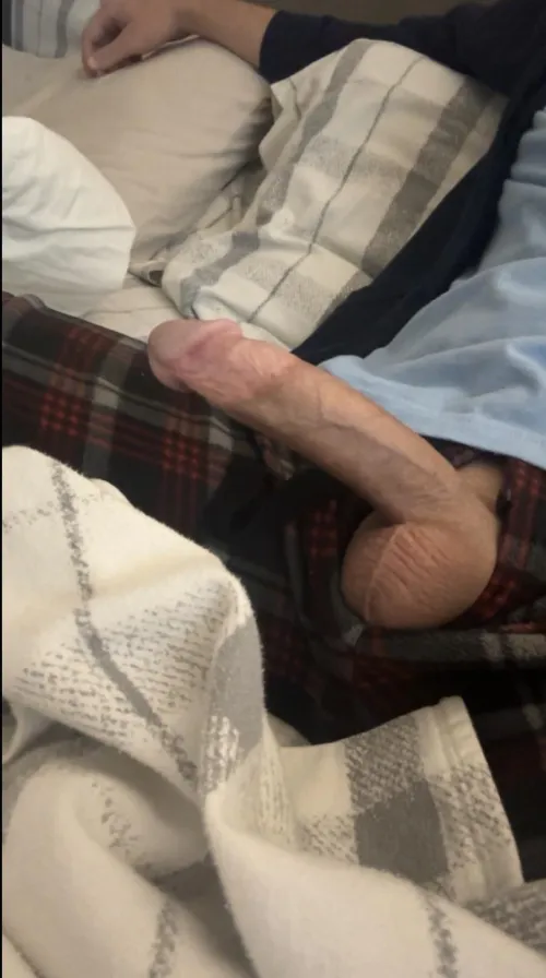 36 [M4F] #St.Louis - Ever Ride a Clydesdale? by HeavyHanded_89