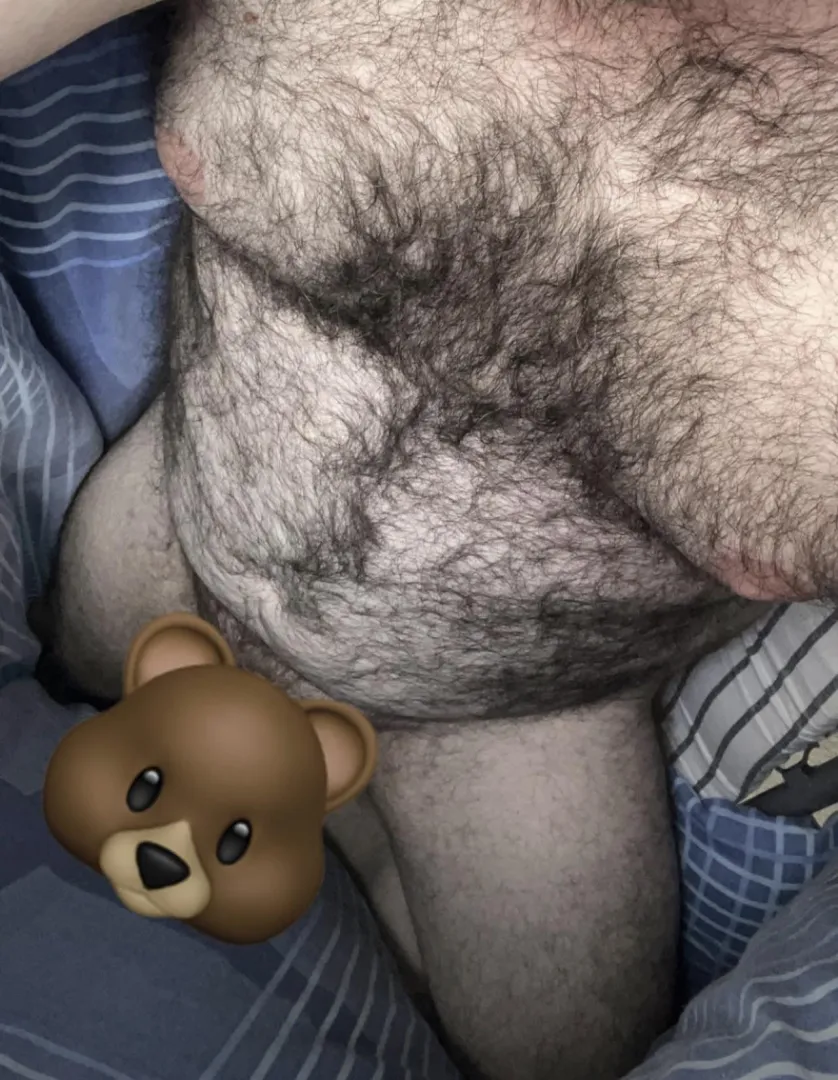 36 Staffordshire Love daddies boys add british_bear25 posted by Majestic-Mark-9309