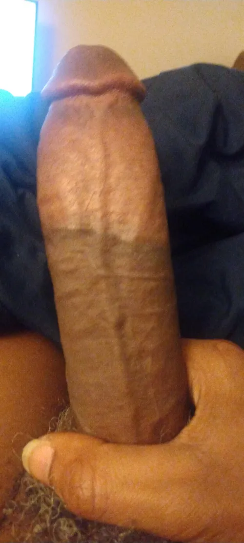 36Bbc4F Peoria by Strange_Sort_1033