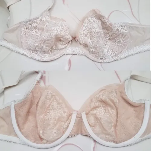 36c Wife VS by Pig-Pen57