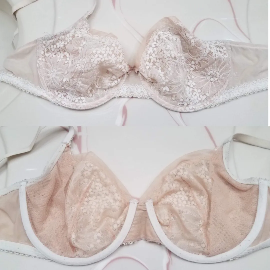 36c Wife VS posted by Pig-Pen57