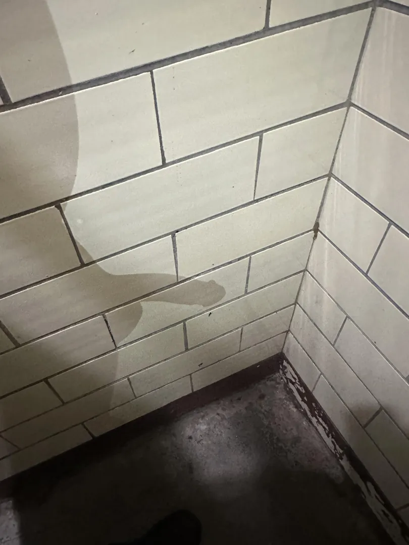 36m 414 posted by 414-nerdy-freak