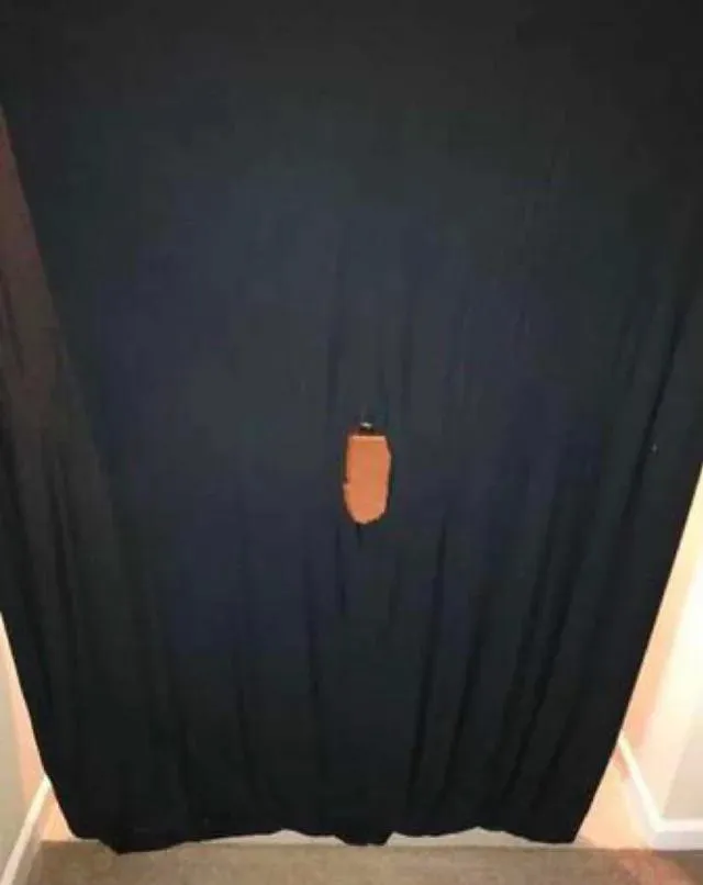 38 [MF4F] reverse gloryhole, looking for another woman to play posted by Plus_Coat9664