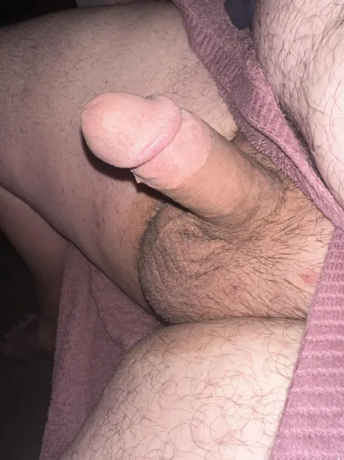 38m Milford fresh out of the shower want my balls pulled on as you swallow my cock by bearded-bull69