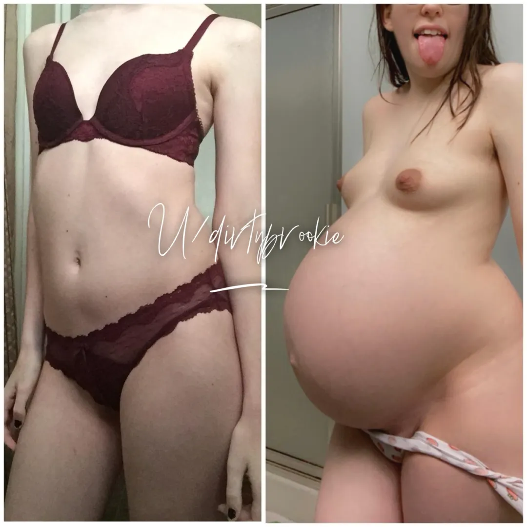 39 weeks. Look how big I grew. I love being bred. posted by dirtybrookie