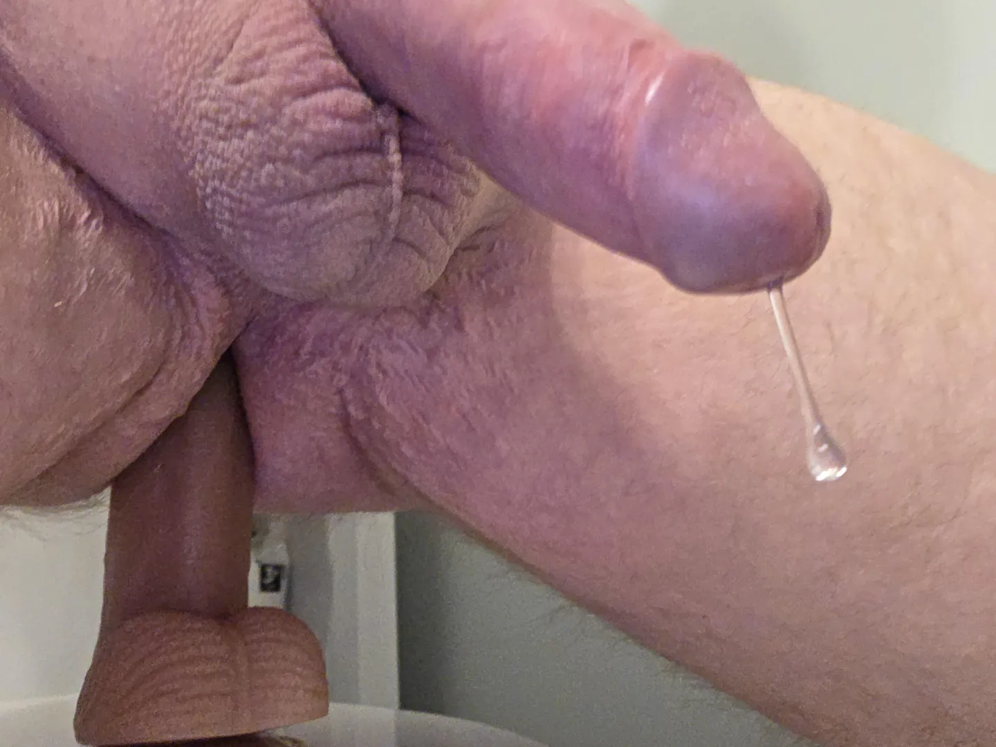 39m Anyone willing to lend their mouth? posted by SpecificImpulse409