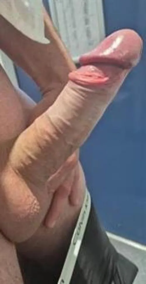 40 HUNG SCOTTISH BULL by Tricky-Blueberry-813