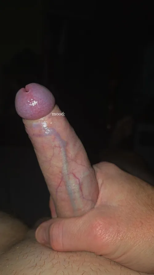 40 [M4F] horny married daddy looking for a sexy girl, Wollongong region by locov4