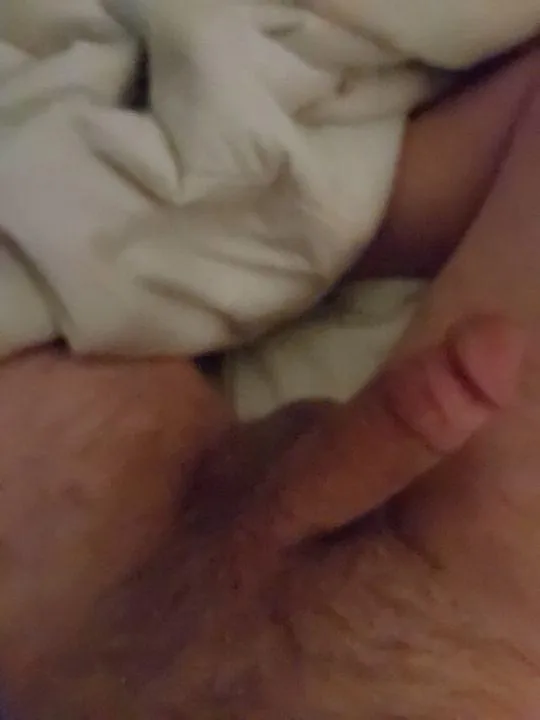 40M4A Bismarck can host. posted by [deleted]