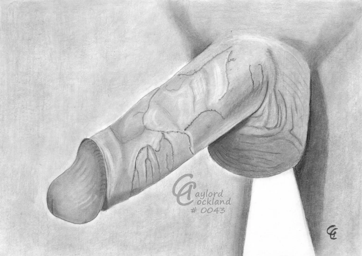 (#43) erect cock with open glans, drawn by me posted by idffipff