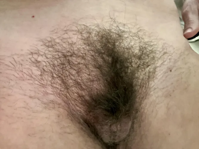 43 Mom Wild Bush by Katienextdoor11