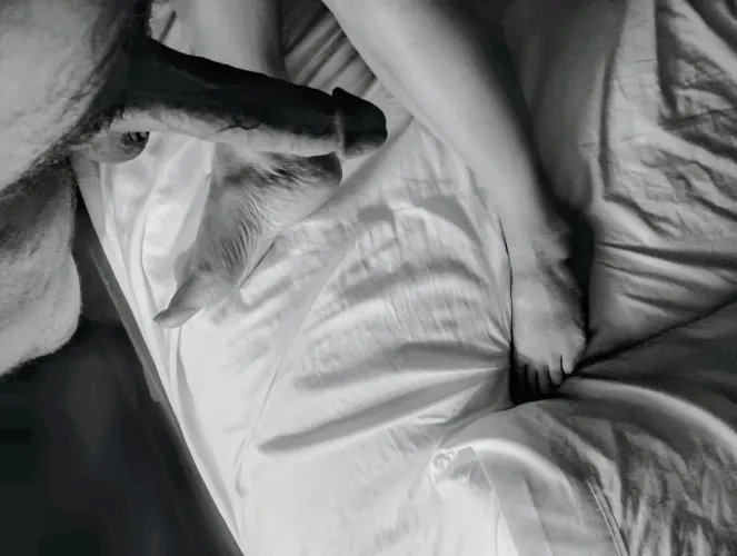 46m&45f Ready for fun by WonderfulDesk79