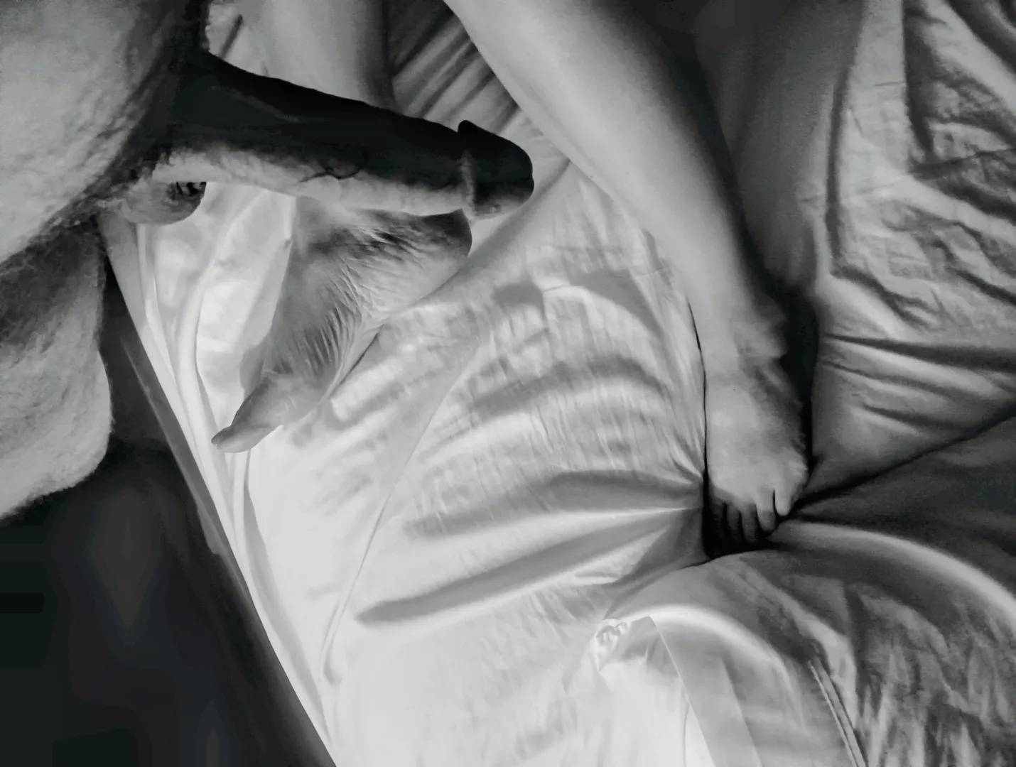 46m&45f Ready for fun posted by WonderfulDesk79