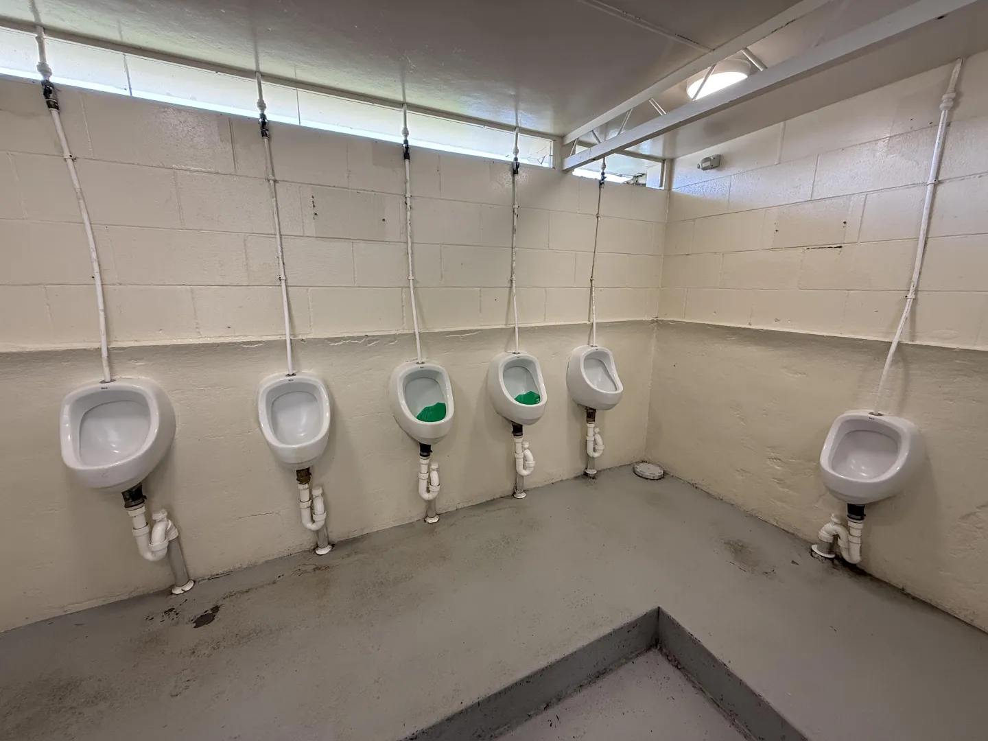 5+1. (Rotorua, NZ) posted by reeeeecycling